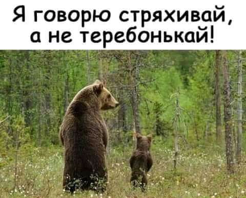 Я говорю стряхивай а не теребонькаи