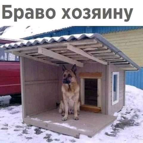 Браво хозяину
