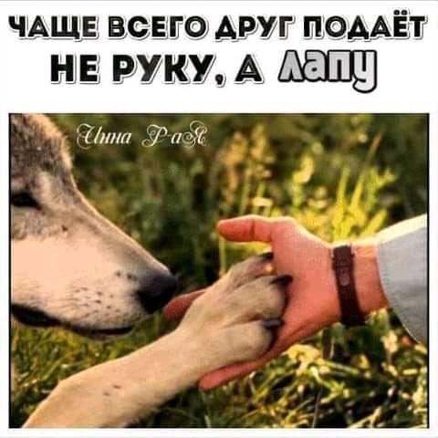 ЧАЩЕ ВСЕЩО АРУГ ПОААЁП _ ТЙилл 711