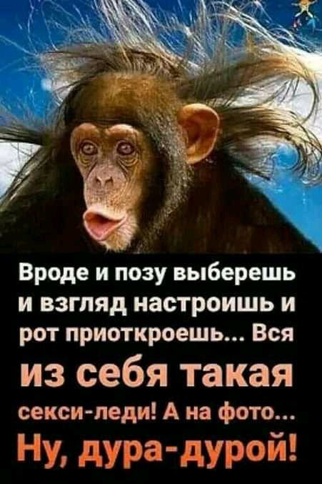 Вроде и позу выберешь и взгляд настроишь и рот приоткроешь Вся из себя такая секси леди А на фото НУ дура дурой