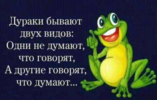 Дураки бывают двух видов Одни не шмают что говорят А другие говорят что думают