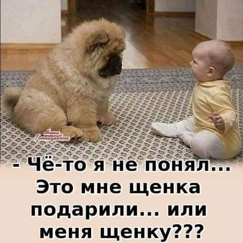 Это мне щенка подарили ИЛИ меня щенку