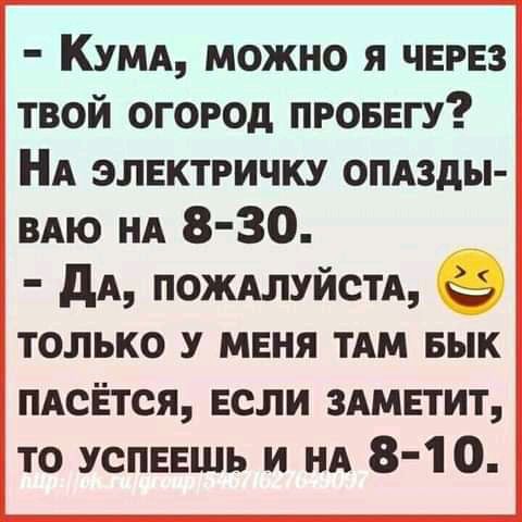 КУМА можно я через твой огород проввгу НА элвктричку опдзды ВАЮ нд 8 30 дд пошлуйстд только у мня ТАМ Бык мсётся если ЗАМЕТИТ то успевшь и на 8 10