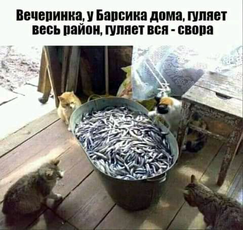 ВЕЧЕПИШЩ У БВШЁШШ дома ШППЕТ ВЕСЬ НВИП ШШШ ВСЯ свопа