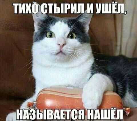 ТИХЁгЫРгііёі шт _ ШЗЫВАЕШЁЦЩАШШ