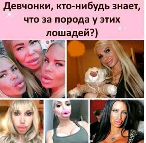 девчонки кто нибудь знает что за порода у этих лошадей