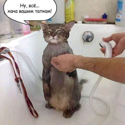 Ну всё хана вшним тцпкам