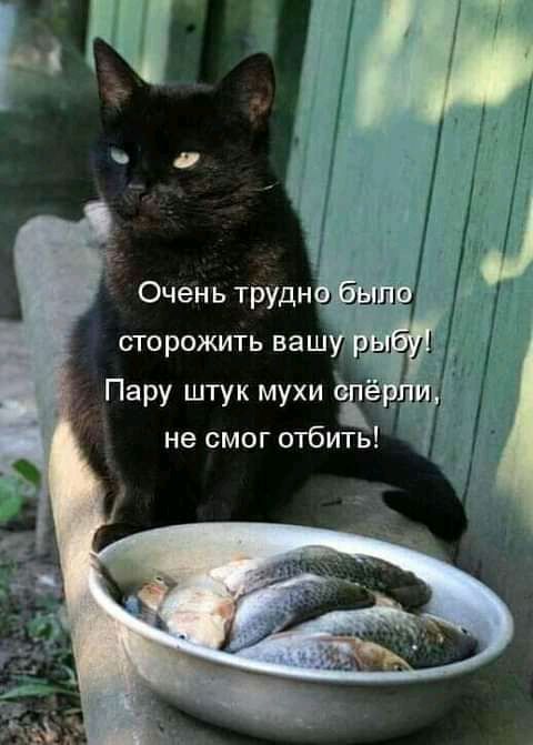Пару штук мухи а не смог отбить