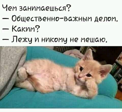 Чен занимаешься Общественно важныи делоп Каким Лежч и никому не мешаю