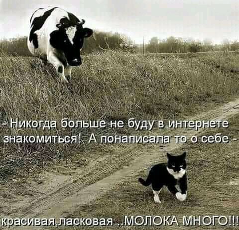 гяШасковая МОЛОКАМНОГО
