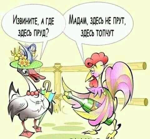 Извинитыгде Млдлмддвсьнвптд _здЕсьпгуд_ здесьтопчут