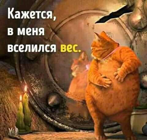 Кажется в меня вселился ШЬ _ _