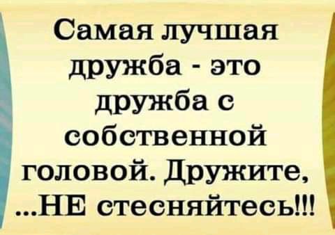 Самая лучшая дружба это дружба с собственной головой Дружите НЕ стесняйтесь
