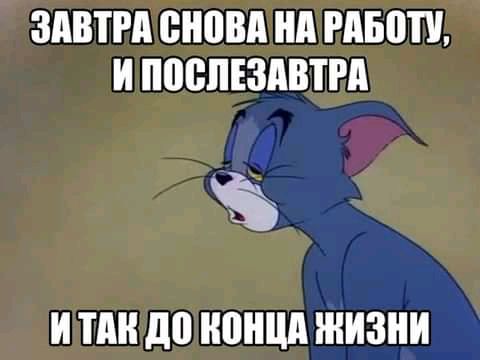 ЗАВТРА ВИВВП Ид РАБВП И ПВВПЕЗАВТРП И П до ИВИЦА ЖИЗНИ