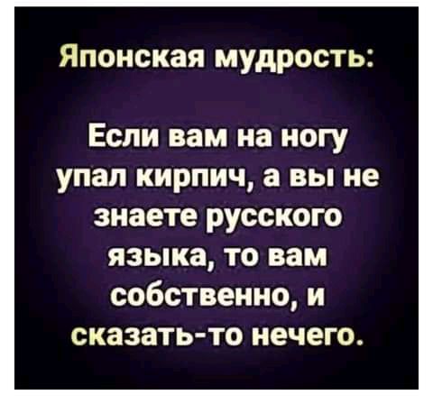Японская мудрость Если вам на ногу упал кирпич а вы не знаете русского языка то вам собственно и сказать то нечего