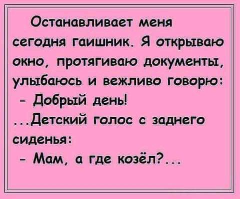Останавливает меня сегодня гаишник Я открываю окно протягиваю документы улыбаюсь и вежливо говорю Добрый день ___Детский голос с заднего сиденья Мам а где козёл_