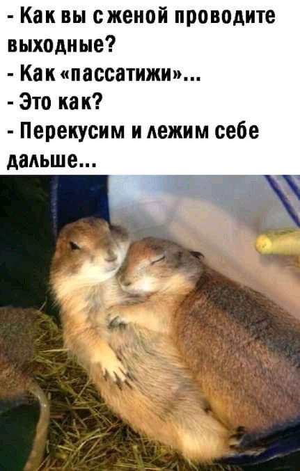 Как вы сженой проводите выходные Капипассатижи Это из к Перекусим и лежим себе дальше