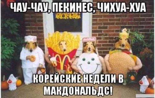 чм чщпшинЩчихид хид РЕЙВНИЬНЕДШИВ МАНДПНАЛЬДЩ