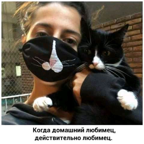 Когда домашний любимец действительно любимец