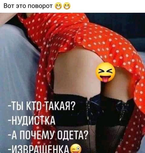 Вот это поворот Ёж