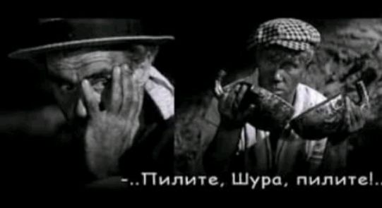 Пилитс Шура пилитс