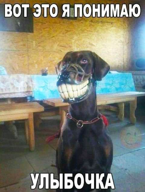 ВОТ ЭТО ЯкПОНИМАЮ _в УЛЫБОЧКА