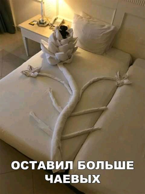 ОСТАВИПЁОЛЬШЕ ЧАЕВЫХ