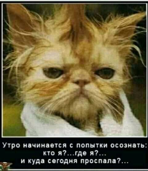 Утро НЧИМПОТСЯ С ПОПЫТКИ ОСОЗИЦТЬЕ кто ягдв я _ и куда сегодня просп м