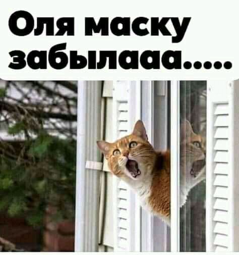 Оля маску забыппаа ИППП