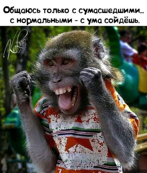 общаюсь только с сумасшедшими с нормальными с ума сойдёшь