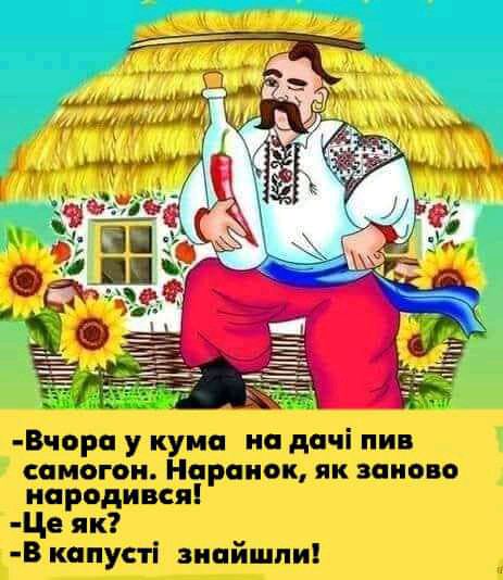 _ пм _ а с Вчора у купе на дачі пив самогон Нараиок як заново иародився Це як В капусті зипйшпи