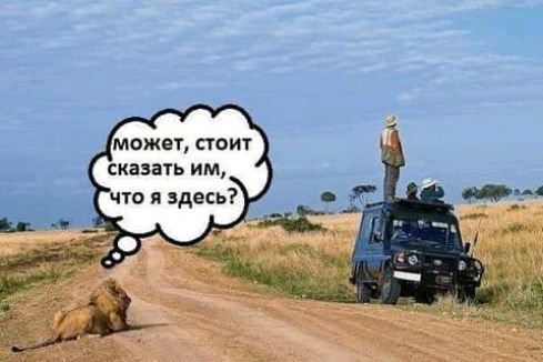 может стоит сказать им