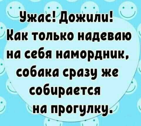 у9жасдожцііш Как только надеваю на себя иамордник собака сразу же собирается киа прогулку7