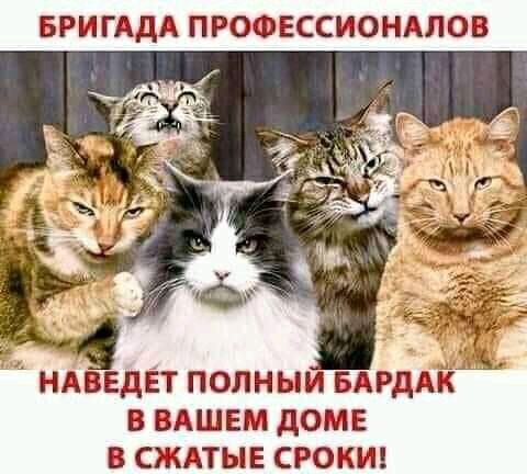 БРИГАДА ПРОФЕССИОНАЛОВ НАВЕдЕТ полныи БАРДАК в ВАШЕМ доме в сждтыв сроки