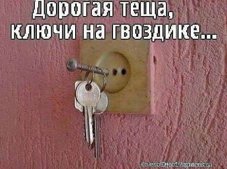 ДОРОГЕ ТЁЩЭ _ КЛЮНИ НЗ ГВОЗДИКЕ