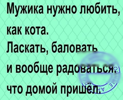 Мужика нужно любить как кота Ласкать баловать и вообще радовшъша что домой при