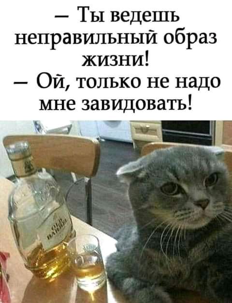 ТЫ ведешь неправильный образ жизни Ой только не надо мне завидовать д