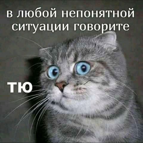 в любой непонятной ситуации говорите