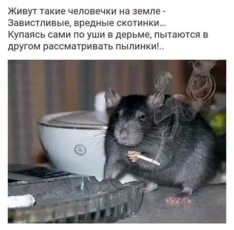 ЖИВУТ такие ЧЕПОВЕЧКИ На ЗЕМЛЕ заЕИСТЛИЕЫЕ ВРЕДНЫЕ СКОТИНКИ Купаясь сами по уши в дерьме пытаются в другом рассматривать пылинки