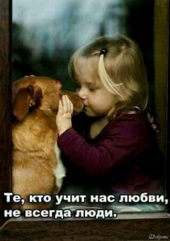 Те кто учит нас любви не всегда Люди