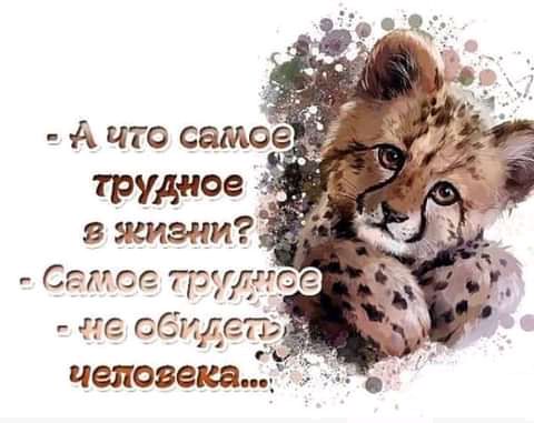 А что само трудное _ в жизни этое грудки ггг обиде человека