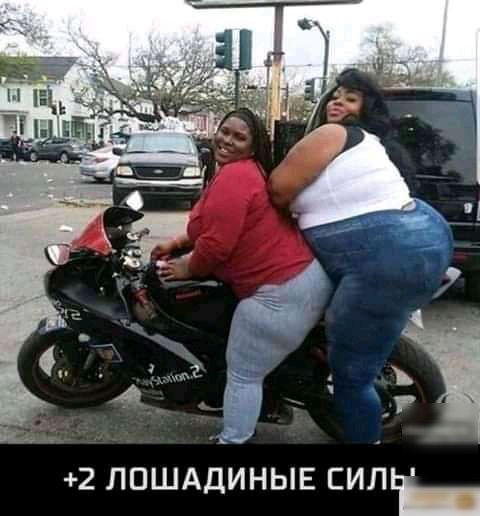 гіг 2 ЛПШАДИНЫЕ СИЛ_