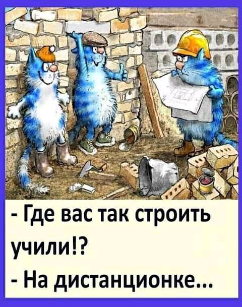 учили На дистанционке