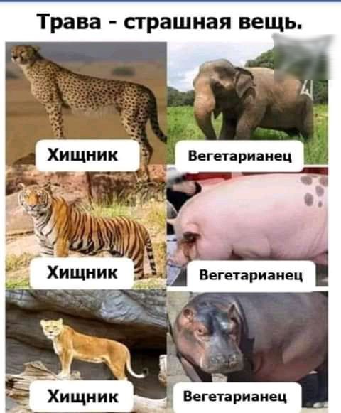 Трава страшная вещь