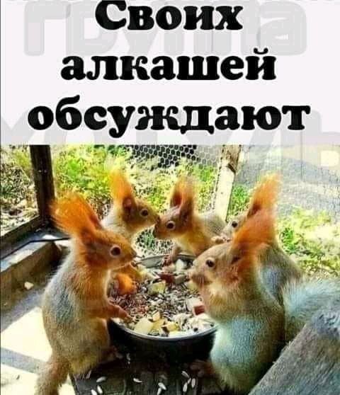 Своих алкашей _обеужддют