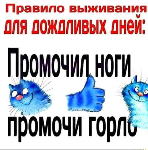 Правило ВЬЖИВЭНИЯ ЛПЯ ЛОЖЛПИВЫХ ПНЕЙ Промочиц ноги _ а Промочи гОрпё