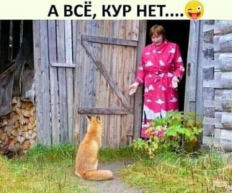 у А вс_Ё_укур нет