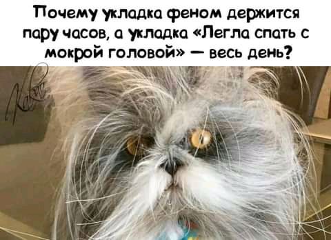 Почему укладка Феном держится пару часов укладка Легла спать с мокрои ГОЛОВОИ _ ВЕСЬ ЦЕНЕ
