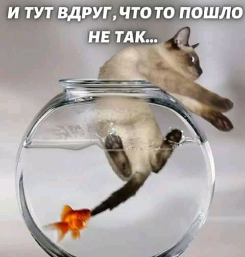 И ТУТ ВДРУБЧТО то пошло