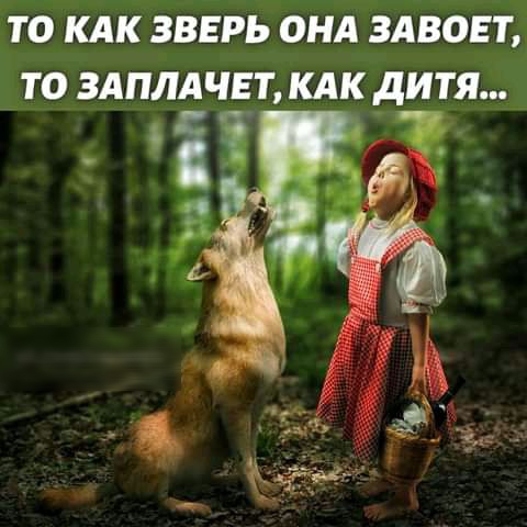 ТО КАК ЗВЕРЬ ОНА ЗАВОЕГ ТО ЗАПЛАЧЕТ КАК дитя _